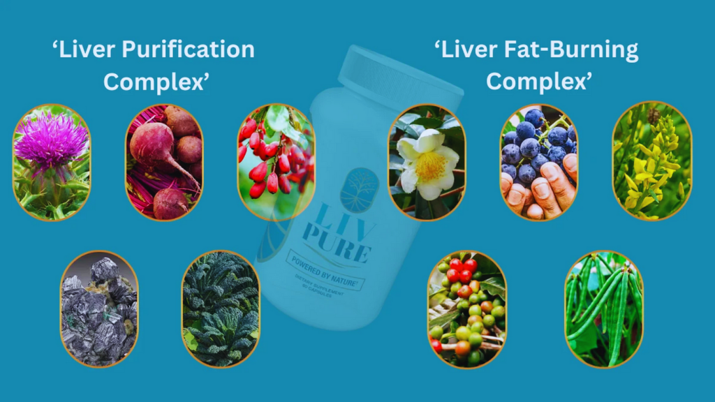 Liv Pure Ingredients